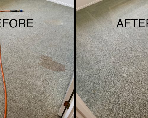 Professional Carpet Cleaning Brisbane